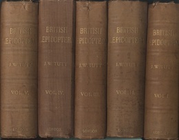 A Natural History of the British Lepidoptera : Vo.1-5 A Text-Book For Students and Collectors 