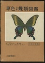 原色日本蝶類図鑑　全改訂新版  