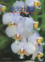 洋ラン図鑑  
