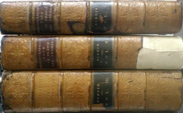 Bibliographical Antiquarian and Picturesque Tour in France and Germany : Vol. 1-3  