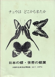 チョウはどこから来たか　日本の蝶・世界の蝶展（1974年） 大阪市立自然史博物館1974年10月 