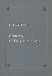 Geometry of Yang-Mills Fields  