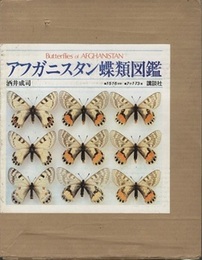 アフガニスタン蝶類図鑑  