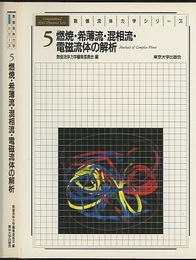 燃焼・希薄流・混相流・電磁流体の解析  