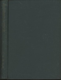 応用偏微分方程式論  