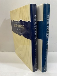 青年期の精神障害　上・下  