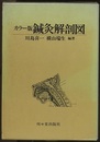 カラー版鍼灸解剖図  