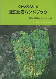 昆虫化石ハンドブック  
