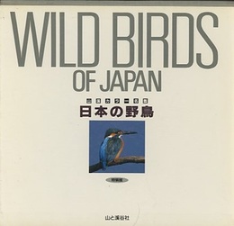 日本の野鳥　〈特装版〉  