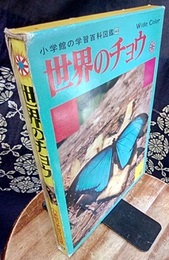 世界のチョウ  