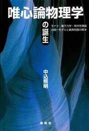 唯心論物理学の誕生 モナド・量子力学・相対性理論の統一モデルと観測問題の解決 