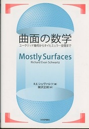 曲面の数学 ユークリッド幾何からタイヒミュラー空間まで 