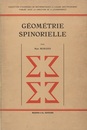 Geometrie Spinorielle  
