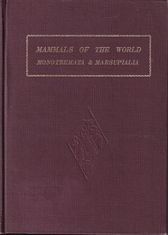 世界哺乳類図説　単孔・有袋目【払下本】  