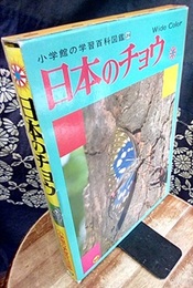 日本のチョウ  