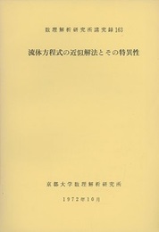 流体方程式の近似解法とその特異性  