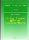 Topology of Singular Spaces and Constructible Sheaves (Hard)  