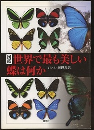 図鑑　世界で最も美しい蝶は何か（旧版）  