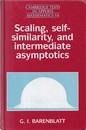 Scaling, Self-Similarity, and Intermediate Asymptotics (Hard)  