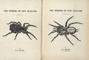 The Spiders of New Zealand : Part.1-4  