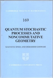 Quantum Stochastic Processes and Noncommutative Geometry  