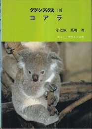 コアラ  