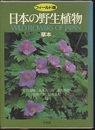 日本の野生植物　草本　フィールド版  