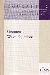Geometric Wave Equations (Soft)  