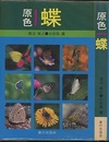 原色　蝶  