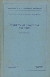 Stability of Projective Varieties  