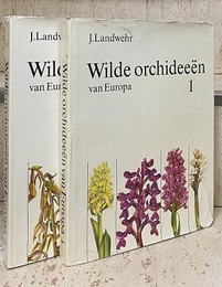 Wilde orchide?n van Europa : 1-2 (Hard) (蘭) ヨーロッパの野生ラン 