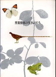 照葉樹林の生きものたち  