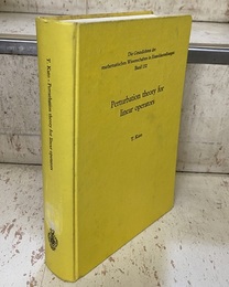 Perturbation Theory for Linear Operators : 1st Edition (Hard) (英) 線形作用素の摂動論（行列の摂動） 