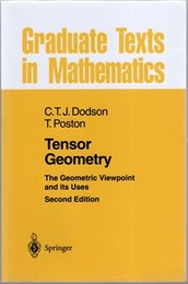 Tensor Geometry : 2nd Edition (Soft) The Geometric Viewpoint and its Uses 