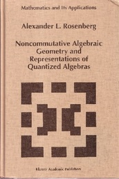 Noncommutative Algebraic Geometry and Representations of Quantized Algebras (Hard)  