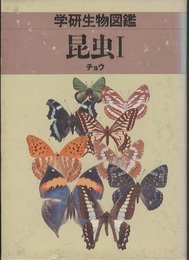 昆虫 （1） チョウ （旧版）  