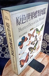 原色世界蝶類図鑑  
