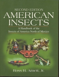 American Insects : A Handbook of the Insects of America North of Mexco, Second Edition 