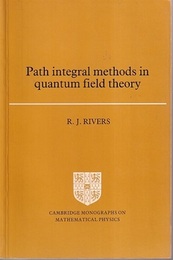 Path Integral Methods in Quantum Field Theory (Soft)  