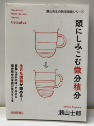 頭にしみこむ微分積分  