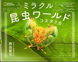 ミラクル昆虫ワールド　コスタリカ  