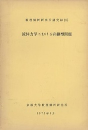 流体力学における非線型問題  
