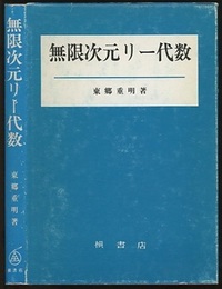 無限次元リー代数  