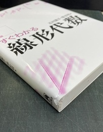 すぐわかる線形代数 （改訂新版）  