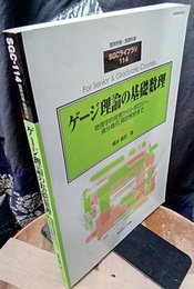 ゲージ理論の基礎数理 物理学的背景からトポロジー，微分幾何，関数解析まで 