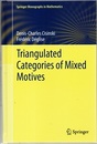 Triangulated Categories of Mixed Motives (Hard)  