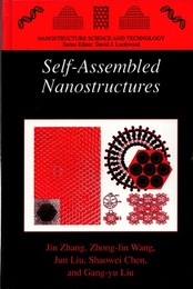 Self-Assembled Nanostructures  