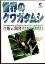 世界のクワガタムシ 生態と飼育 