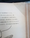 医用昆虫学（上・下）  