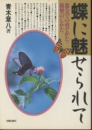 蝶に魅せられて 都会での育てかた・観察のしかた 